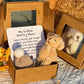 🐻Christmas Limited-Time Offer: 50% OFF!🎁Handmade Mini Plush Teddy Bear in Box