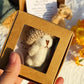 🐻Christmas Limited-Time Offer: 50% OFF!🎁Handmade Mini Plush Teddy Bear in Box