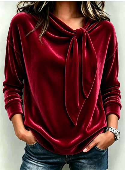 🌸Hot Sale 50% OFF!✨Fall Women Velvet Bow Tie Neck Long Sleeve Top