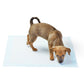 🧼Breathable Pet Pee Pad