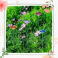 Bee and Butterfly Water Feeder with Flower Design