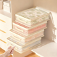 🎁Buy 1 Get 1 Free🔥See-Through Closet Organizer Storage Bags
