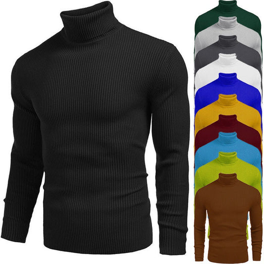 🔥Trending Now💥 |Winter Men's Knitted Turtleneck Slim Sweater