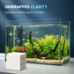 🐠 BUY 1 GET 1 FREE! ✨ AQUARIUM CLARIFYING SHEETS - Crystal Clear Water in 24 Hours, Removes Odors and Impurities, Safe for All Fish and Plants 🌿🔮