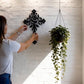 ✝️🌹Elegant Rose Cross Metal Wall Decoration