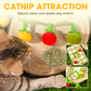 🐱 🎉 Interactive Cat Toy – Fruit-Shaped, String Movement & Exciting Catnip 📦