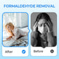 ⏳Time-Limited Special⏰Anti-Formaldehyde Air Purifier for Home