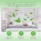Long-term formaldehyde odor remover – for fresh indoor air in living spaces 🌿🏠