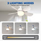 🌬️🌞New Arrival Hot Sale - 49% OFF!🛋️2-in-1 Remote-Controlled Ceiling Fan with LED Light