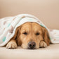 Soft Fluffy Paw-Printed Pet Blanket