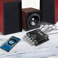 2.1 Channel Bluetooth - compatible Audio Power Amplifier Module