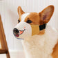 Breathable Canvas Dog Muzzle for Anti-Biting & Barking