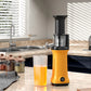 🔥Limited Time Offer ⏰✨Wide-Mouth Slow Juicer for Whole Fruits