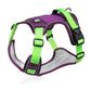 📢📢40% OFF !! ⏰No Pull Dog Harness with Leash & Collar LED