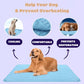 ❄️🐾Pet Cooling Mat (4x Enhanced Cooling Effect)🐶 A Summer Must-Have For Every Pet Owner