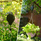 🌳 Plant Pulley Set For Garden Baskets Pots, Birds Feeder